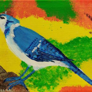 Blue Jay