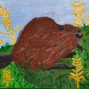 Beaver