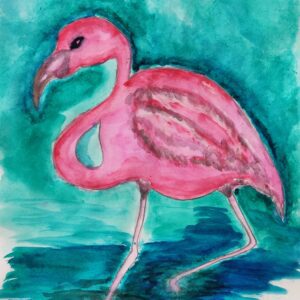 Flamingo