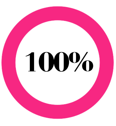 2025-2026 Social Inclusion Goal Stats Pie chart illustrating that, of all inclusion goals set by participants, 100% were achieved