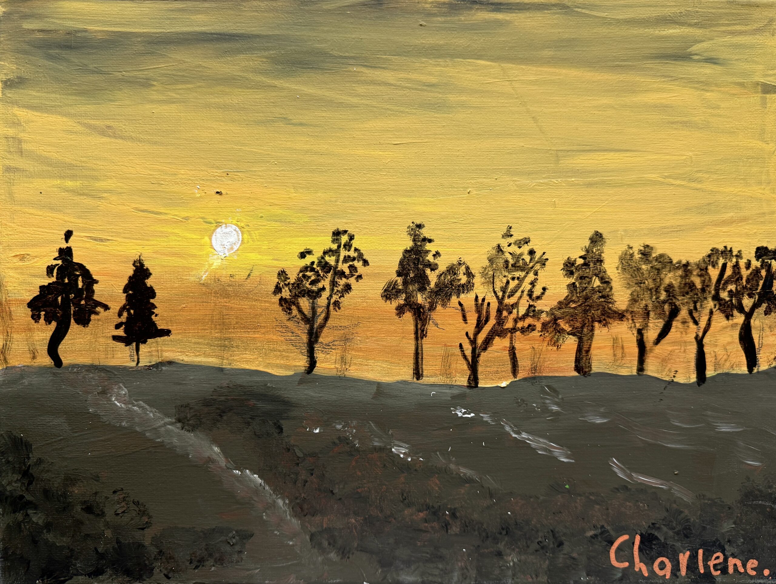 Shadows on the Horizon